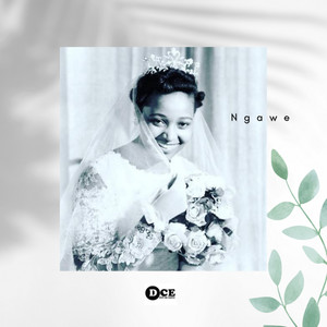 Ngawe
