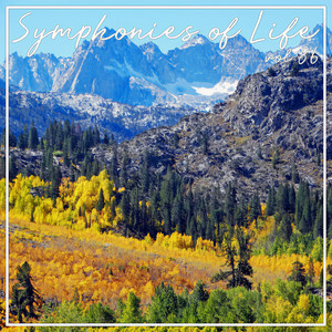 Paquita: Variation V - Allegro non troppo