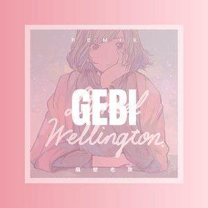 秋风吹落一滴泪 (DJ版)