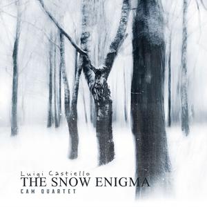 The Snow Enigma (feat. CAM Quartet, Stella Manfredi, Antonella De Chiara Violinist, Nico Giordano, Pasquale Termini & Antonio Esposito)