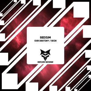 Our Destiny (Original Mix)