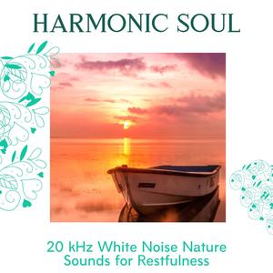 Harmonic Soul - 20 kHz White Noise Nature Sounds for Restfulness