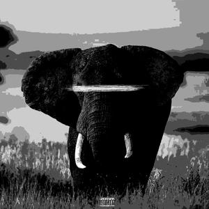 ELEPHANT (feat. Kid Thraxx) [Explicit]