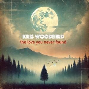 The love you never found