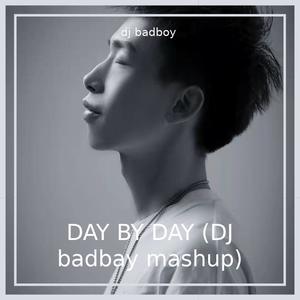 DAY BY DAY (DJ badbay mashup)