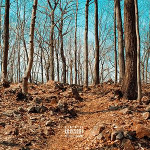 Up at Night(feat. Kfab) (Explicit)