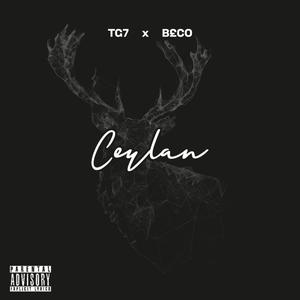 CEYLAN (feat. B£CO) [Explicit]