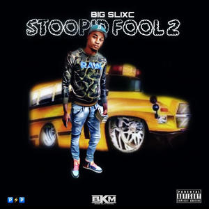 STOOPID FOOLS 2 (Explicit)