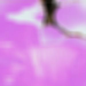 How u like it? (Explicit)