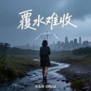 覆水难收封面