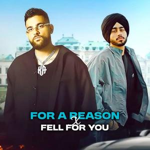 For A Reason X Fell For You (feat. Im Anil)
