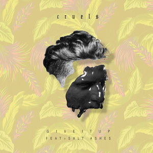 Give It Up(feat. Salt Ashes)