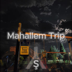 Mahallem Trip (Slovv Motion) (Explicit)