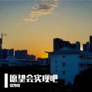 愿望会实现吧 (伴奏)