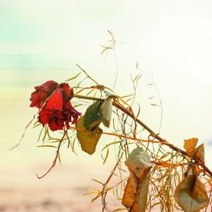 Bye Bye(feat. King Smile & Touns)