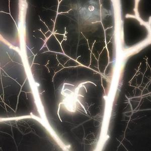 Umbrella (*****) (Explicit)