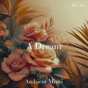 An Ambient Dream