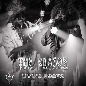 The Reason