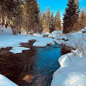 Wire Cutters (slowed)