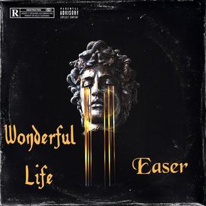 Wonderful Life (Explicit)
