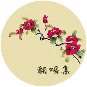 风一样的我