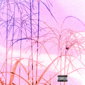 Coolhightracks - Aw **** (Explicit)