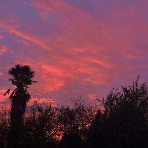 Me enamoré (feat. Juan Ponce & Isaías Ramírez)