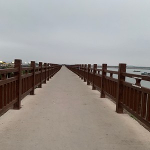 【粤剧】红棉赞