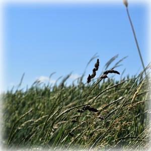 Kocham kiedy jesteś blisko mnie