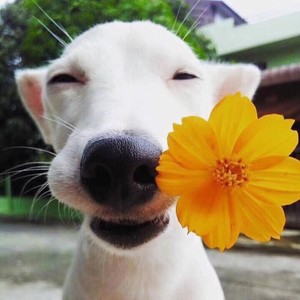 你我