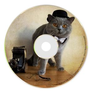 Trip Box (Original Mix)