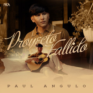 Proyecto Fallido