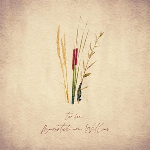 Tombeau (feat. Willows)