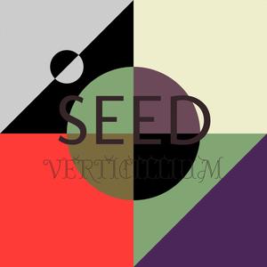 Seed Verticillium