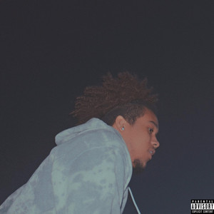 Stop the Playing (Explicit)