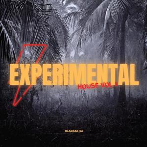 Experimental House, Vol. 2