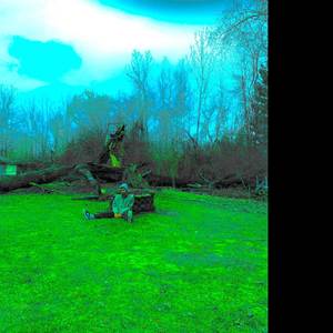 Feel Alive (Explicit)