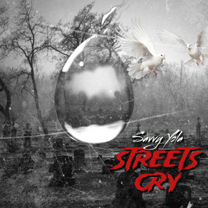 STREETS CRY (Explicit)