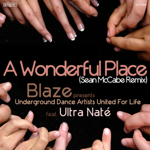 A Wonderful Place (Fanatix Remix Dub)