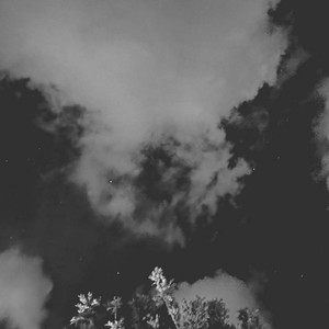 Shall We Talk-李俊弘