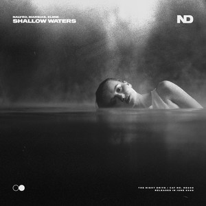 Shallow Waters (Extended Mix)