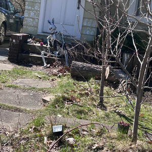 SLIDE OR PROVIDE? (Explicit)