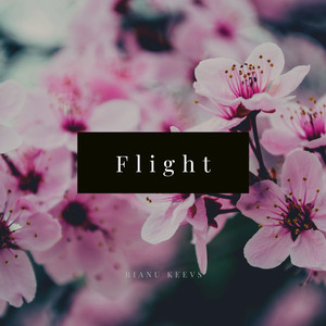 Flight (Original Mix)