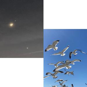 Starry Shores (feat. Likesurfs) (Special Version)