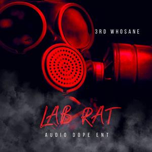 Lab Rat (Explicit)