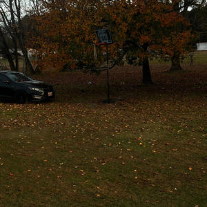 wya now (feat. 1Rawmfk) (Explicit)