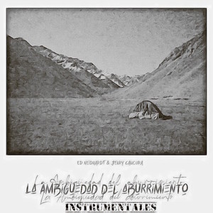 Seguridad (Instrumentales)