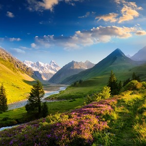 The Gentle Vibration Of Lofi Peace