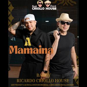 Bonita (Bandy Ricardo Criollo House)