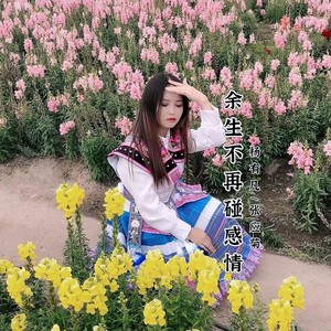 余生不再碰感情